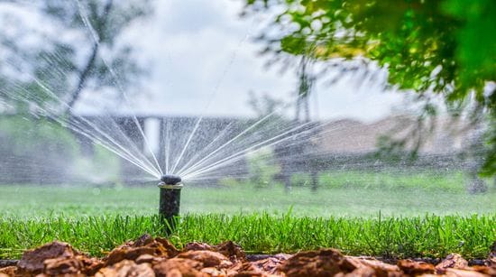 What You Need to Know About A Sprinkler System